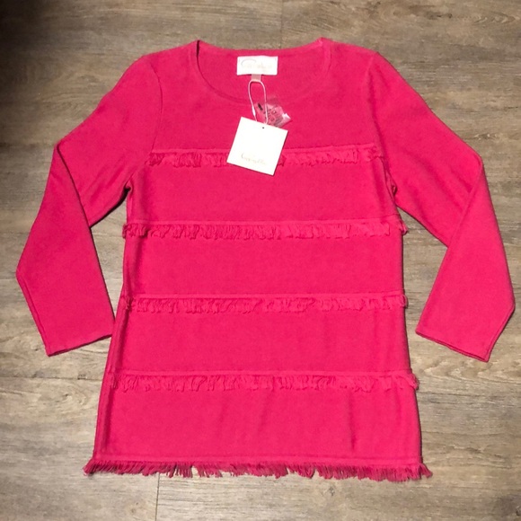 Pappagallo Sweaters - Brand 🆕💖💖💖PAPPAGALLO crewneck pullover sweater